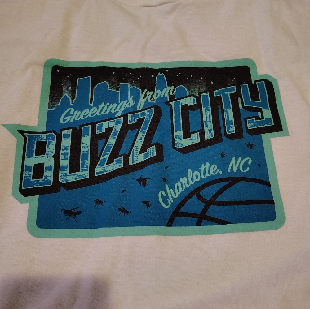 Charlotte Hornets tee (nwot)